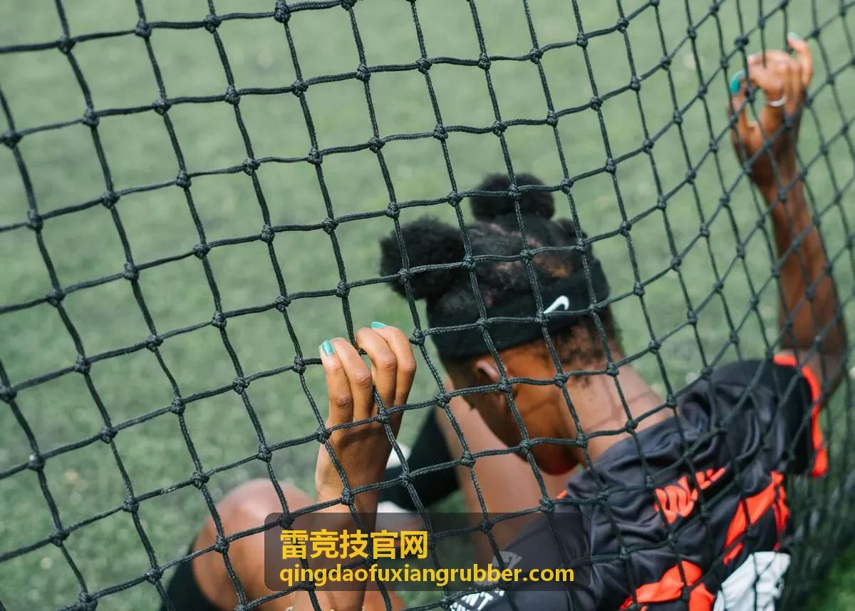 雷竞技工业密封件案例