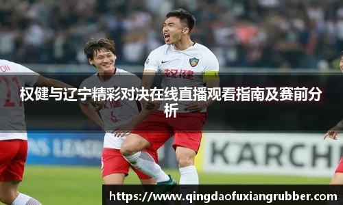 权健与辽宁精彩对决在线直播观看指南及赛前分析