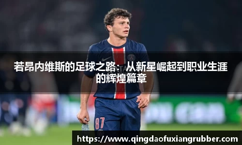 若昂内维斯的足球之路：从新星崛起到职业生涯的辉煌篇章